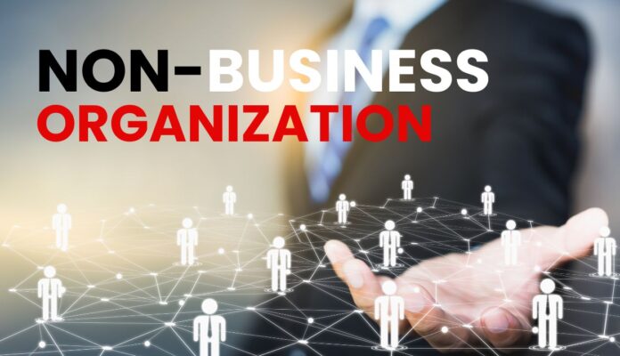 non business organisation